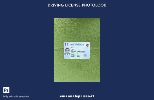stile verificato patente di guida francese presente modello frontale photolook 1